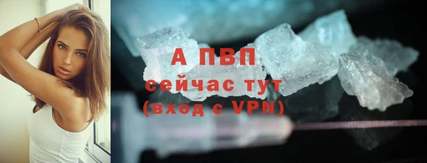 mdpv Вяземский