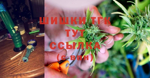 mdpv Вяземский